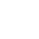 PALMETTE 2