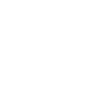 PALMETTE 3