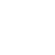 VECTOR 2 platinum (мат)