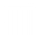 PALLADA 1