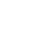 Фриз SF21V
